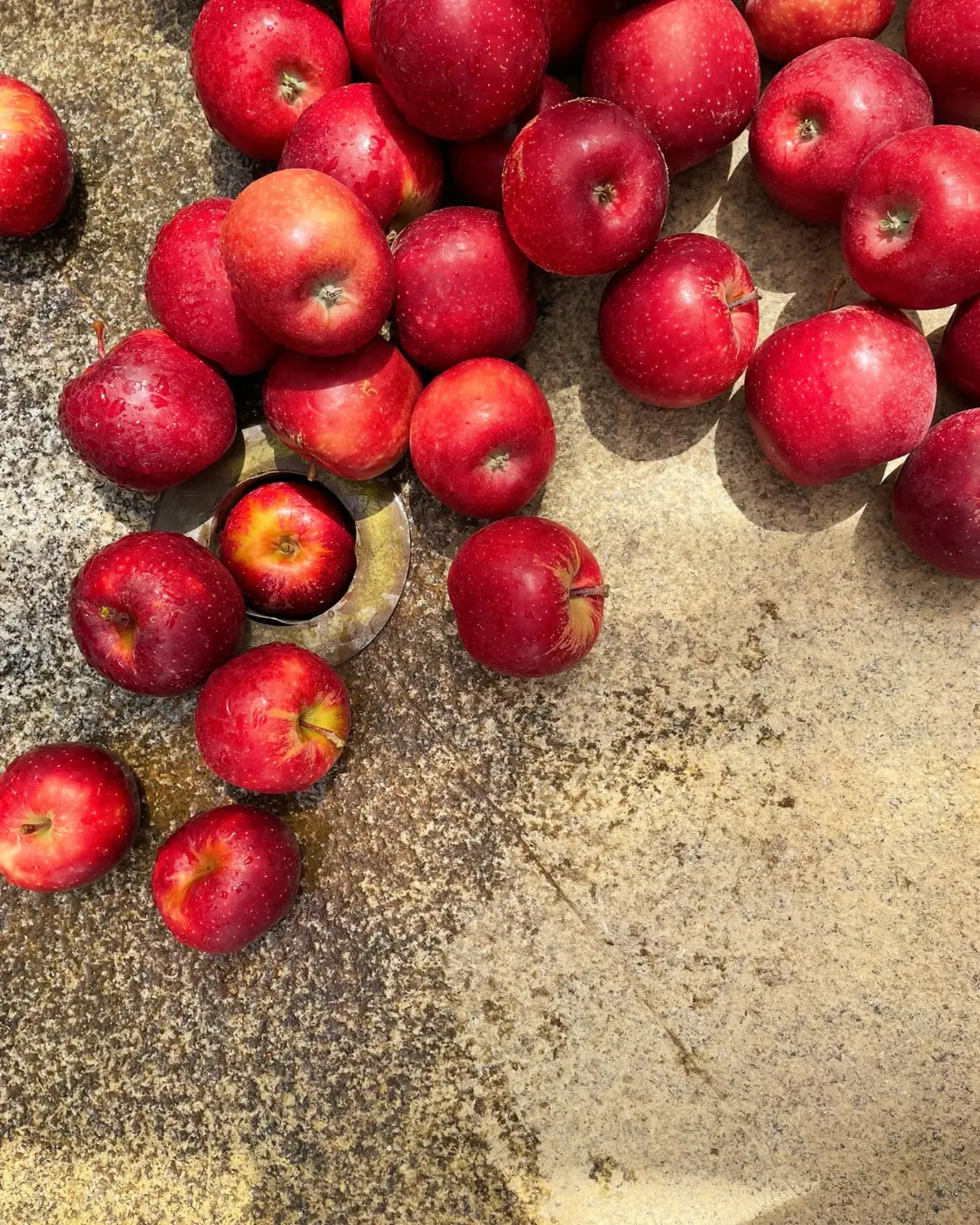 Red apples arranged in warm sunlight
