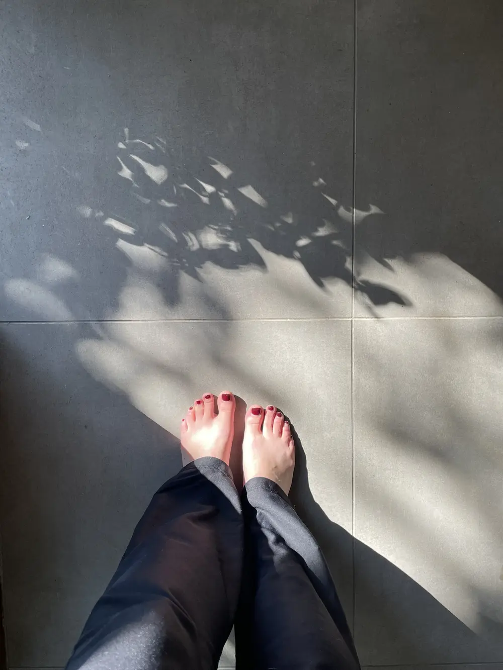 Bare feet in a patch of sunlight